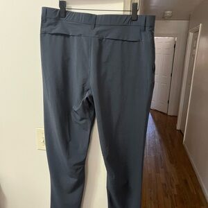 Fabletics Men's Blue Pants